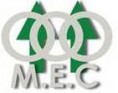 /album/fotogaleria/logo-mec-jpg/